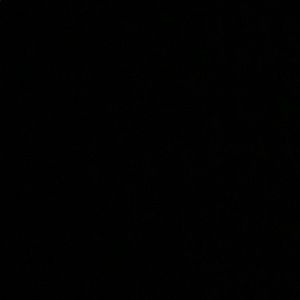 Meet your Posher, Nellie